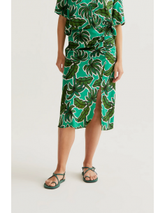 FALDA PALM TREE