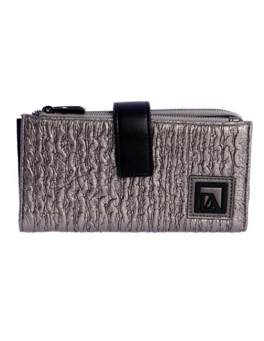 CARTERA SPACE PLATA